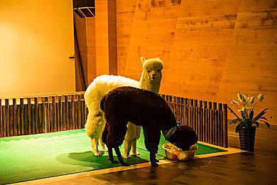 基利安·墨菲可能将在《孤岛惊魂7》中饰演大反派